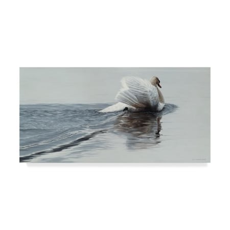 Trademark Fine Art Ron Parker 'Gliding Swan' Canvas Art, 10x19 ALI32242-C1019GG
